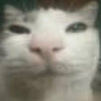 ًًً (@scaazy) 's Twitter Profile