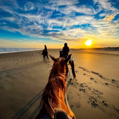 Kyodo News Int’l news reporter. Lived in 🇬🇧🇺🇸. 横浜出身・在住で関東信、九州で勤務.⛷️🐎