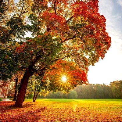 lewis_alvi22529's profile picture. 