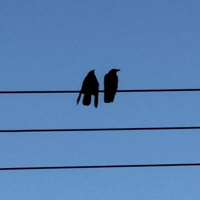 oh___banana's profile picture. このアカウントは夫婦がそれぞれ自由に呟くアカウントです。平和なアカウントになりますように…