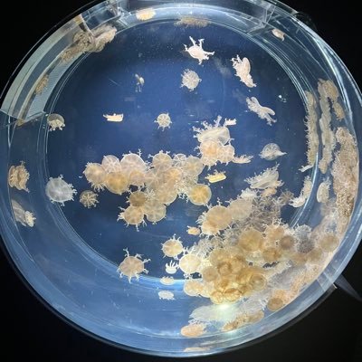 boukun_box's profile picture. 07/🚹 人生のモチベ🍨