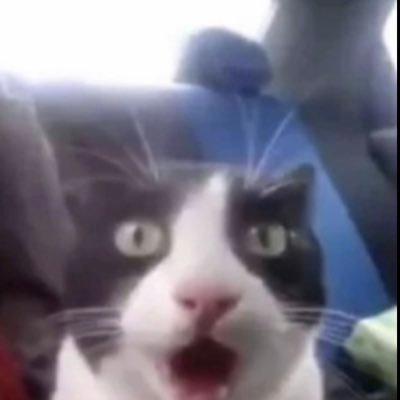 ayoitsnick2's profile picture. hello world