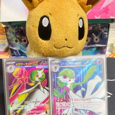 17(08) 最強のサーナイト使いを目指して!!!🪄🎀 でもブイズのトレーナーです❄️🍃 sub→@inori_sub_ouka6