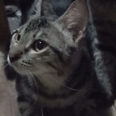 Berdo'a dan berusaha, untuk selanjutnya ikhlas dan tawakkal.