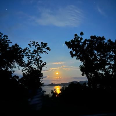 bakal_Fe's profile picture. nothing to see here. 😅