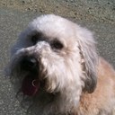 joanna crossman - @mrsc469 - Twitter