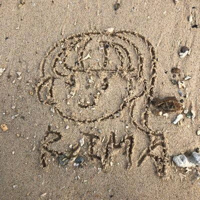 oIM5bARM0ZySpeZ's profile picture. 大学用🚺／成城大学 経済学部経済学科 🇨🇳