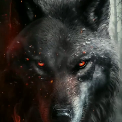 JLima84702's profile picture. 