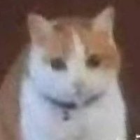 γγ¬π (@subunubore) 's Twitter Profile