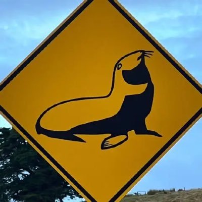kingsley_ecom's profile picture. ggvuu