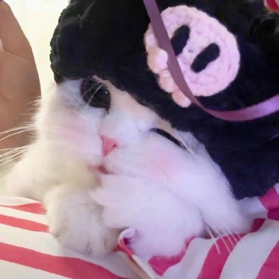 4iwyc_'s profile picture. 君の隣でpr