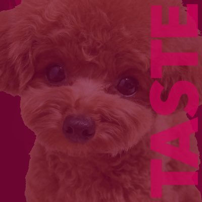 buleaye | TASTE 8 SEP Profile