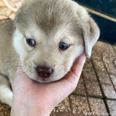 tonaor_2007's profile picture. 