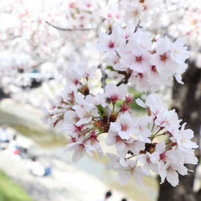 mentality_sei's profile picture. 