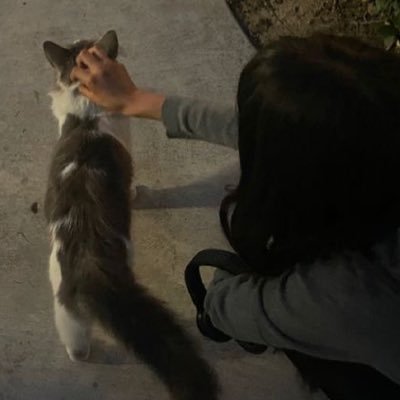 OVH0oz5qfw6385's profile picture. 09