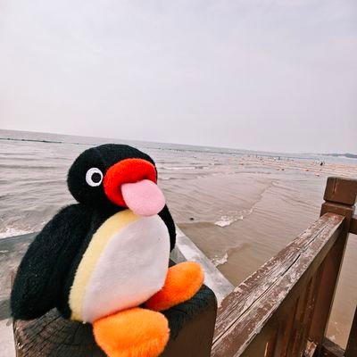 zhoxnhi147505's profile picture. 小猪0🥰   06     184      河北
 处    不喜老