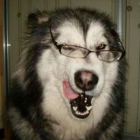 lobão (@dearsillyreader) 's Twitter Profile
