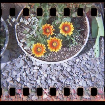 mu_miso's profile picture. ガンダム、プラモ好き/
アイロンビーズ/
京都の隅で生活/
お酒とプラモと寫眞/
休日ごはん担当/
土日寫人(ホリデーフォトグラファー)/
元Web詩人

推し：会いに行きたい人が推し（🐥、🀆）

#さて晩御飯の時間だ