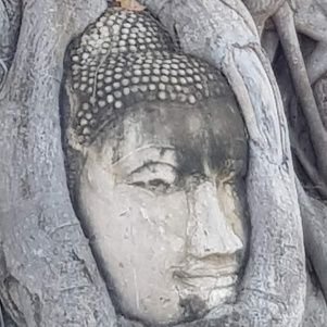 BjTlx's profile picture. 東南アジア好きおっさん