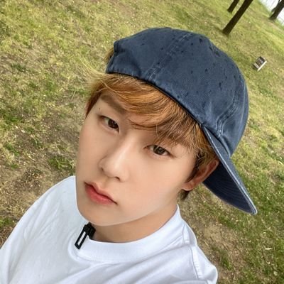 wheegyuii's profile picture. eng/pt-br
🇧🇷