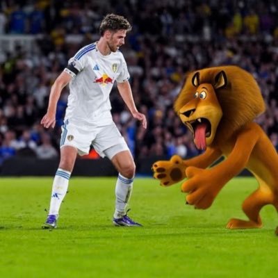 nbalvarado's profile picture. dc sports & leeds