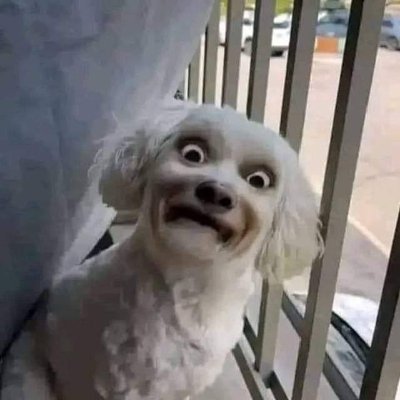 jamess0066's profile picture. Base chain . OG Shiller