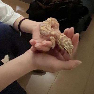 13b_jap's profile picture. 