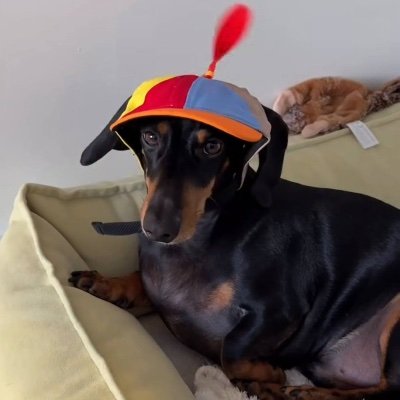 talesoftana's profile picture. professionally unemployed