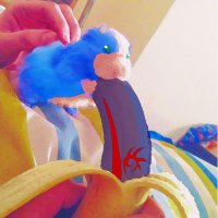 𝙼𝚎𝚘𝚠𝚎 (@meoweahh1) 's Twitter Profile Photo 𝙼𝚎𝚘𝚠𝚎 (@meoweahh1) 's Twitter Profile Photo