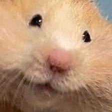 Zuany_'s profile picture. 