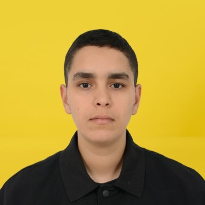 YasiniEl33403's profile picture. domain investor & data analyst