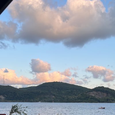 sunguroglu90's profile picture. 