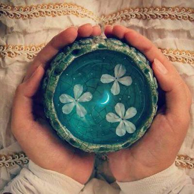 farahnaz99229's profile picture. 