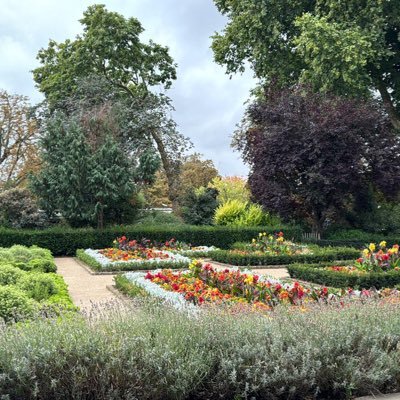 AlfassamNoora's profile picture. .