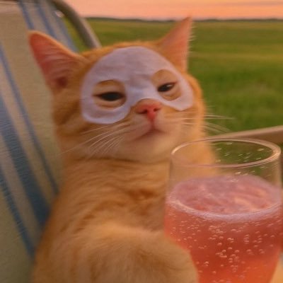 itsanluu's profile picture. I’m flattered that you’re stalking me