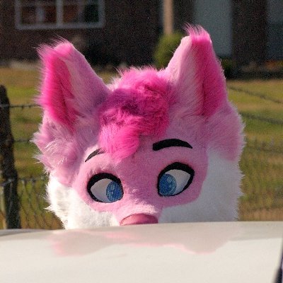 LuzzyFoxy_925's profile picture. Pink Foxo OwO