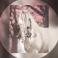 ميم. (@_moen_x) Twitter profile photo