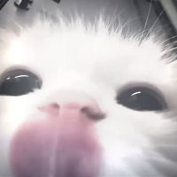 Khaopun (@serspridi) 's Twitter Profile