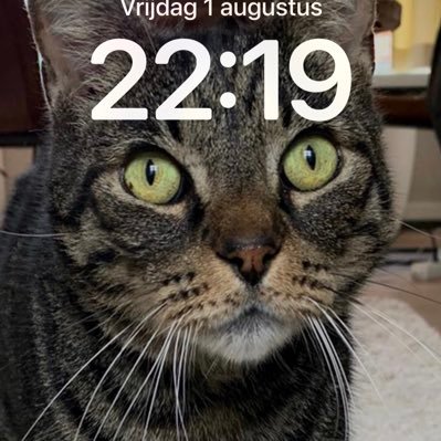 Eggattack79's profile picture. 