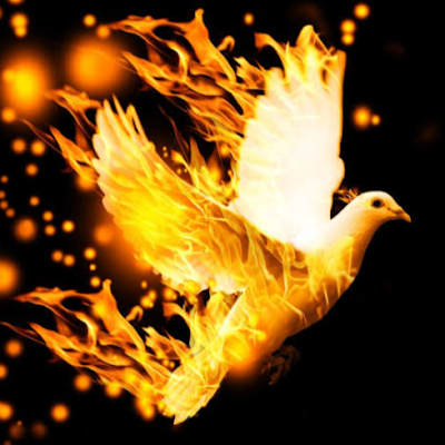 justkenyan_'s profile picture. Software engineer, building sustainable, practical solutions that make everyday life better. Questioning the status quo, crafting what lasts.