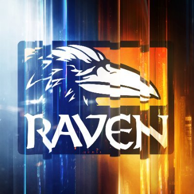 Raven Software Profile