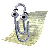 bingbackbook's profile picture. 