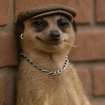 FWealthseeker's profile picture. I'm me and you're you, let's keep it that way...