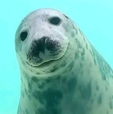 snowisak's profile picture. 