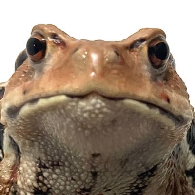 TM2803052165901's profile picture. 平和主義者