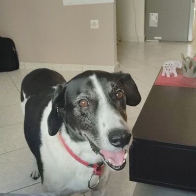 EvgeniaManteli's profile picture. Τα παιδιά και τα μάτια σας!