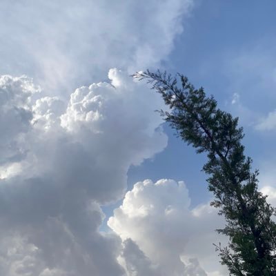 bu90mu's profile picture. مهتمة في #الموارد_البشرية وأسعى #للتطور_الوظيفي | حسابي ليس لنشر الوظائف، الشواغر التي انشرها تخص شركتي فقط.