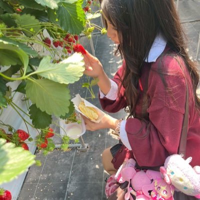 ᕷ*.°さんのプロフィール画像