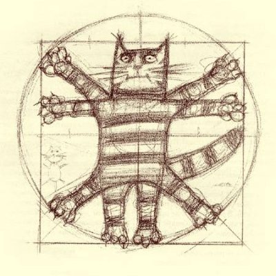 MUSTAFA58918378's profile picture. 