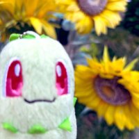 チコちゃん (@chicojealousist) 's Twitter Profile Photo チコちゃん (@chicojealousist) 's Twitter Profile Photo